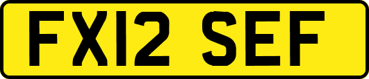 FX12SEF