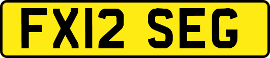 FX12SEG