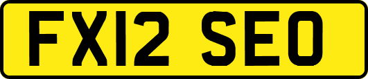 FX12SEO
