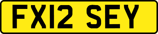 FX12SEY