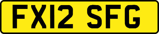 FX12SFG
