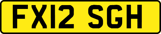 FX12SGH