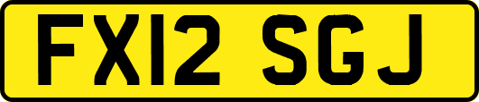 FX12SGJ
