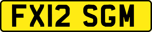 FX12SGM