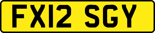 FX12SGY