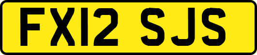 FX12SJS