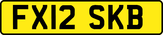 FX12SKB
