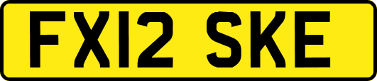 FX12SKE