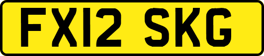 FX12SKG