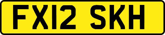FX12SKH