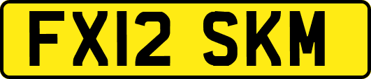 FX12SKM
