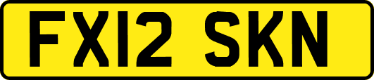 FX12SKN