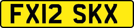 FX12SKX