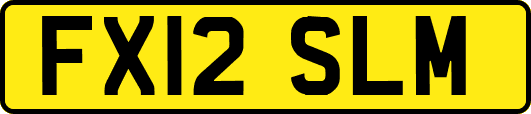 FX12SLM