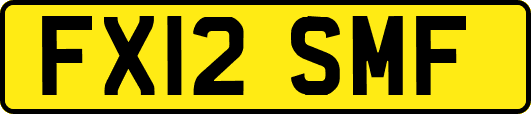 FX12SMF
