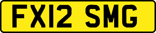 FX12SMG
