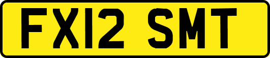 FX12SMT