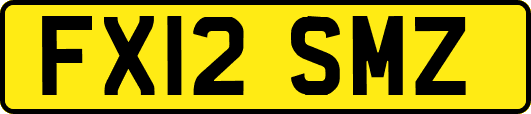 FX12SMZ