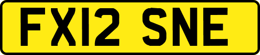 FX12SNE