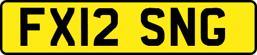 FX12SNG