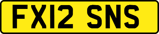 FX12SNS