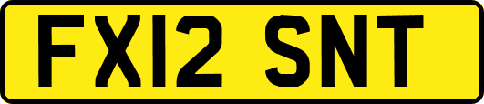 FX12SNT
