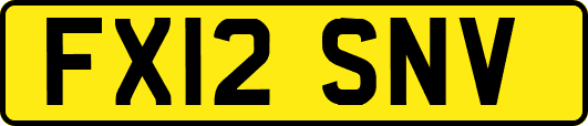 FX12SNV