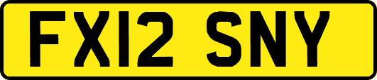 FX12SNY