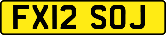 FX12SOJ
