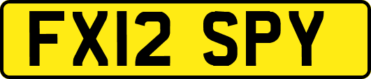 FX12SPY