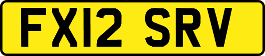 FX12SRV