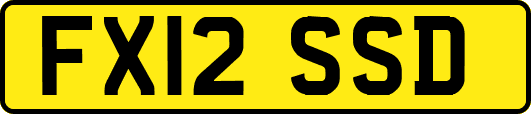 FX12SSD