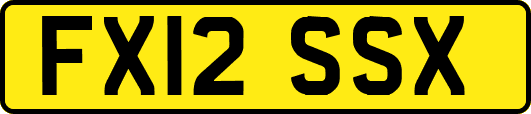 FX12SSX