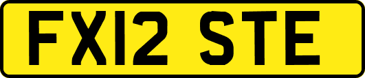 FX12STE