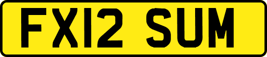 FX12SUM
