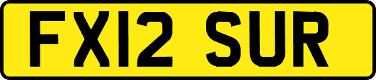 FX12SUR