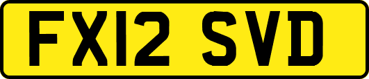 FX12SVD