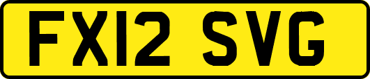 FX12SVG