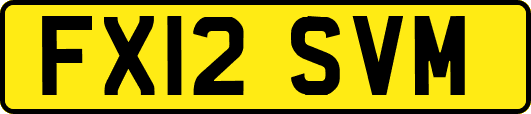 FX12SVM