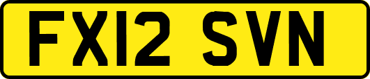 FX12SVN