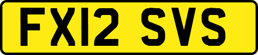 FX12SVS