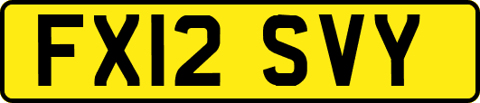 FX12SVY