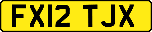 FX12TJX