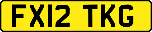 FX12TKG