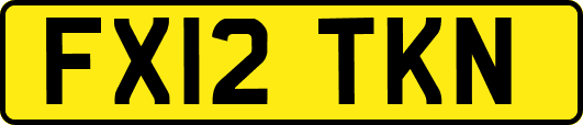 FX12TKN