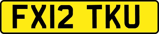 FX12TKU
