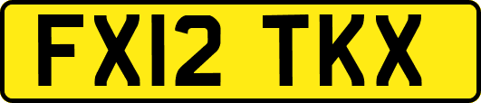FX12TKX
