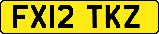 FX12TKZ