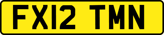 FX12TMN
