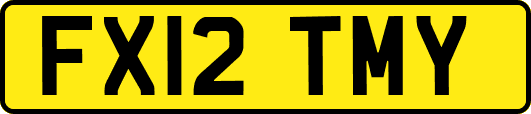 FX12TMY